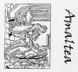 Imagen de AMALTEA