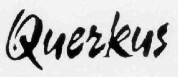 Imagen de QUERKUS