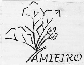 Imagen de AMIEIRO