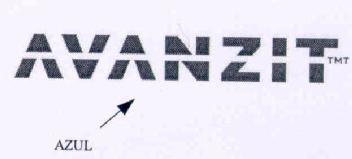Imagen de AVANZIT TMT