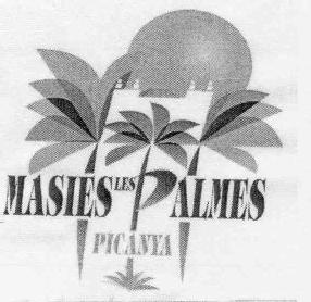 Imagen de MASIES LES PALMES PICANYA