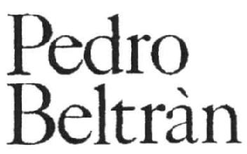 Imagen de PEDRO BELTRAN