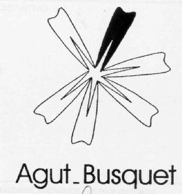 Imagen de AGUT_BUSQUET