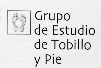Imagen de GRUPO DE ESTUDIO DE TOBILLO Y PIE