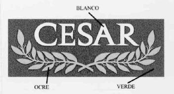 Imagen de CESAR