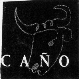 Imagen de CAÑO