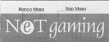 Imagen de NET GAMING