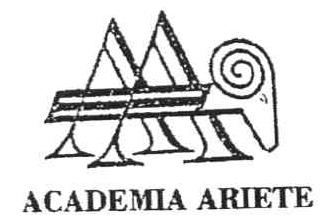 Imagen de AA ACADEMIA ARIETE