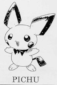 Imagen de PICHU
