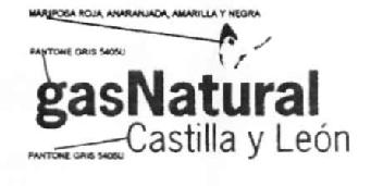 Imagen de GAS NATURAL CASTILLA Y LEON