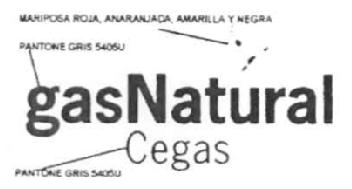 Imagen de GAS NATURAL CEGAS