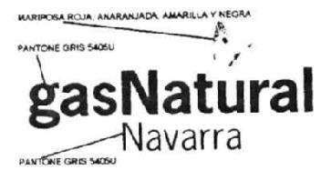 Imagen de GAS NATURAL NAVARRA
