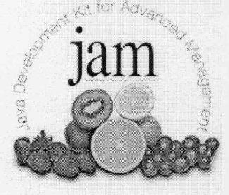 Imagen de JAM JAVA DEVELOPMENT KIT FOR ADVANCED MANAGEMENT
