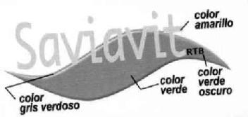 Imagen de SAVIAVIT RTB