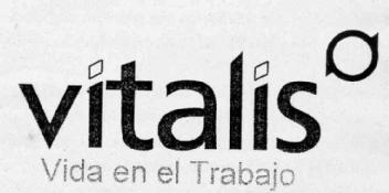 Imagen de VITALIS VIDA EN EL TRABAJO