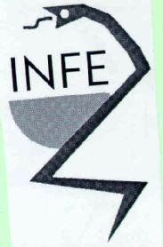 Imagen de INFE