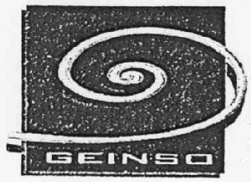 Imagen de GEINSO