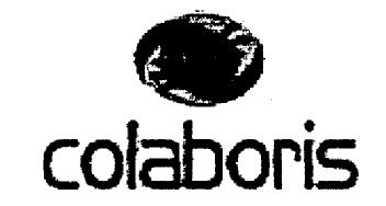 Imagen de COLABORIS