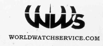 Imagen de WS WORLDWATCHSERVICE.COM