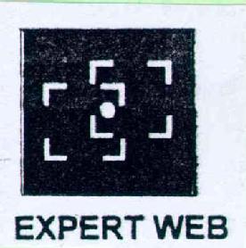 Imagen de EXPERT WEB
