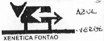Imagen de XENETICA FONTAO, S.A