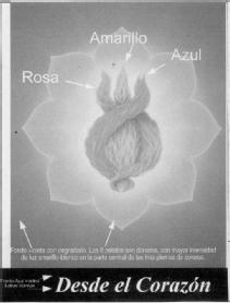 Imagen de DESDE EL CORAZON
