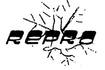 Imagen de REPRO
