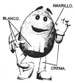 Imagen de M