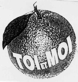 Imagen de TOI ET MOI