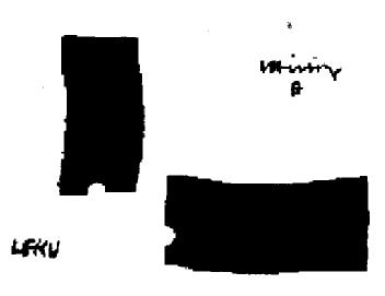 Imagen de L CHILLIDA LEKU