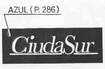 Imagen de CIUDASUR