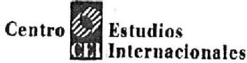 Imagen de CEI CENTRO ESTUDIOS INTERNACIONALES