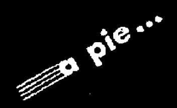 Imagen de A PIE..