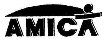 Imagen de AMICA