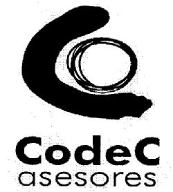 Imagen de CODEC ASESORES