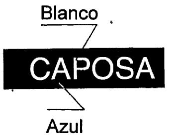 Imagen de CAPOSA