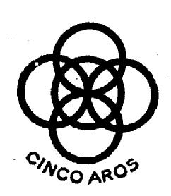 Imagen de CINCO AROS