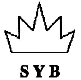 Imagen de SYB