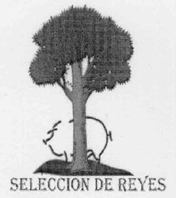 Imagen de SELECCION DE REYES
