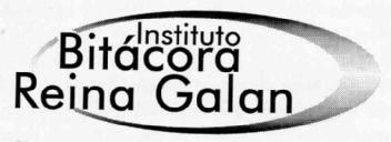 Imagen de INSTITUTO BITACORA REINA GALAN