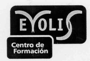 Imagen de EVOLIS CENTRO DE FORMACION