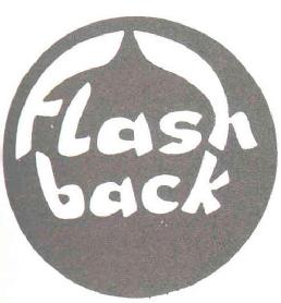Imagen de FLASH BACK