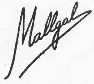 Imagen de MALLGAL