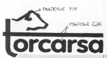 Imagen de TORCARSA