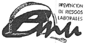 Imagen de PREVENCION DE RIESGOS LABORALES EMU