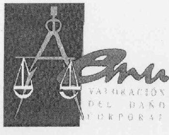 Imagen de EMU VALORACION DEL DAÑO CORPORAL