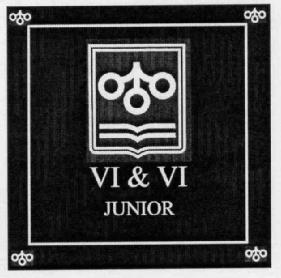 Imagen de VI & VI JUNIOR