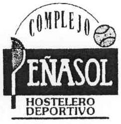 Imagen de COMPLEJO PEÑASOL HOSTELERO DEPORTIVO Imagen de COMPLEJO PEÑASOL HOSTELERO DEPORTIVO