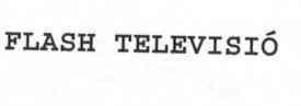 Imagen de FLASH TELEVISIO