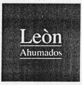 Imagen de LEON AHUMADOS
